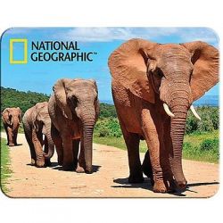 3D MAGNET-Afričtí sloni