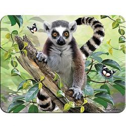 3D MAGNET-Lemur