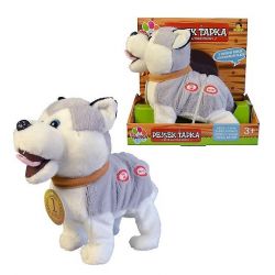 Ťapka - Husky