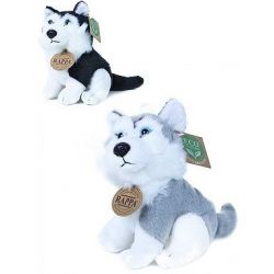 Plyšový pes husky  sedící