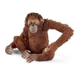 Zvířátko - orangutan samice  ****
