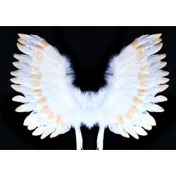 Křídla andělská s peřím