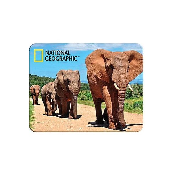 3D MAGNET-Afričtí sloni