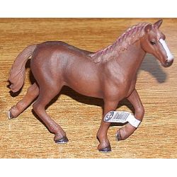 Zvířátko - Klisna anglická plnokrevná  ****