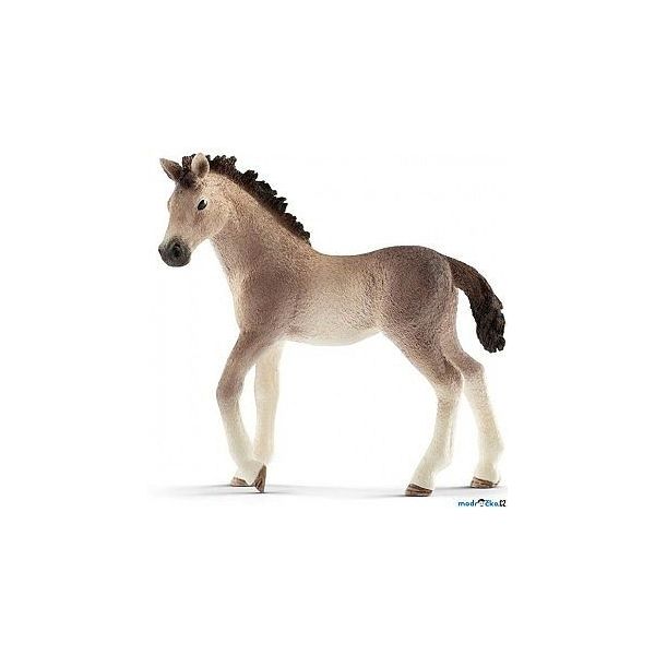 Zvířátko - kobyla - Andaluské hříbě  ****