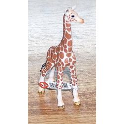 Zvířátko - mládě žirafy  ****