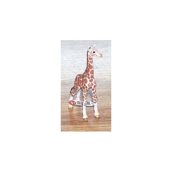 Zvířátko - mládě žirafy  ****