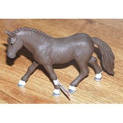 Zvířátko - valach poníka German Riding