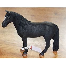 Zvířátko - tenessee valach ****