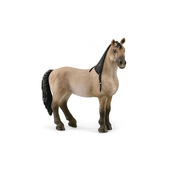 Zvířátko - Klisna Criollo Definitivo ****