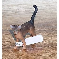 Zvířátko - Habešská kočka  ****