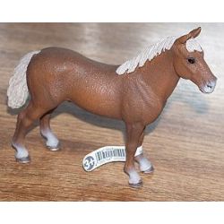 Zvířátko - Morgonský hřebec  ****