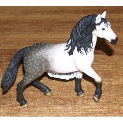 Zvířátko - andaluský hřebec   ****