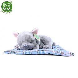 Pes buldoček na polštáři 23 cm - Plyšový  *****