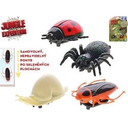 Jungle Expedition hmyz 4cm 4ks na kartě