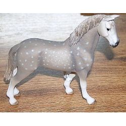 Zvířátko - Holštýnský valach  ****