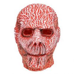 Latexová maska hlava bez kůže