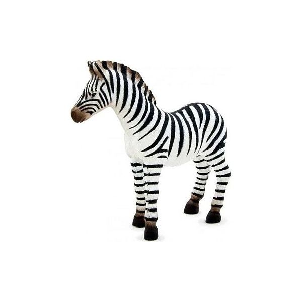 Zvířátko - Zebra mládě  ****