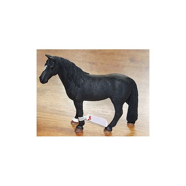 Zvířátko - tenessee valach ****